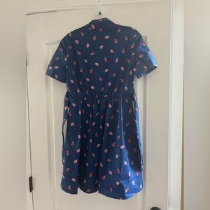 KATE SPAPE strawberry dress. Worn one time. Size XS